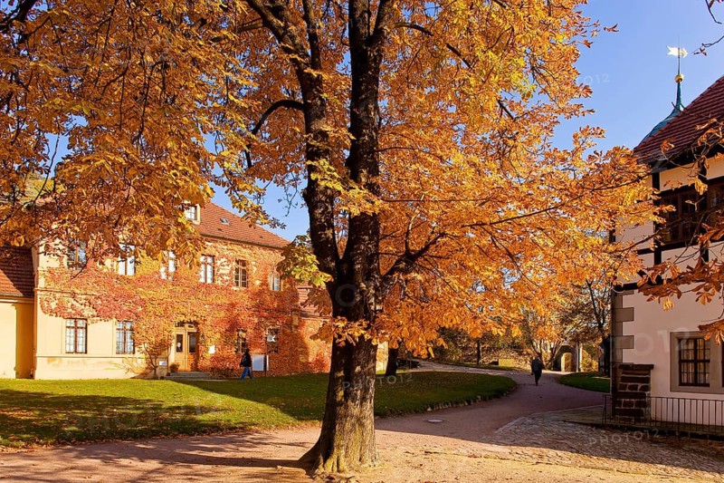 Winery Haus HoflöÃŸnitz