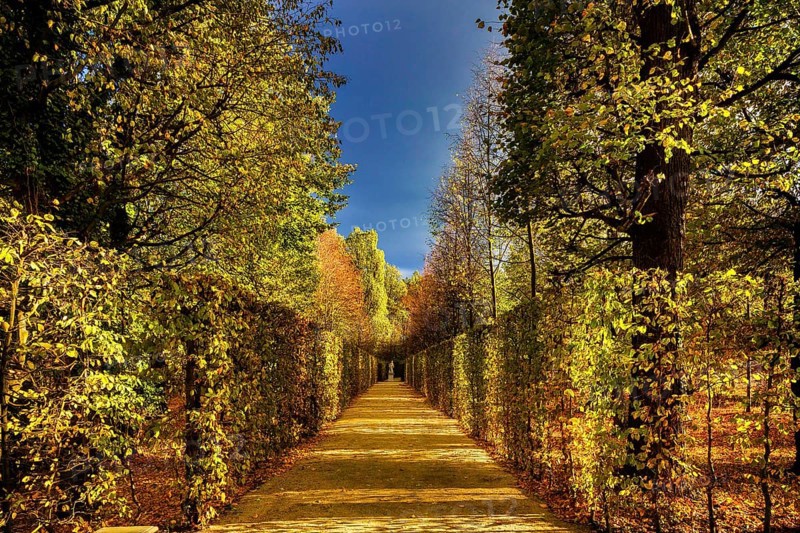 Grossedlitz Baroque Garden