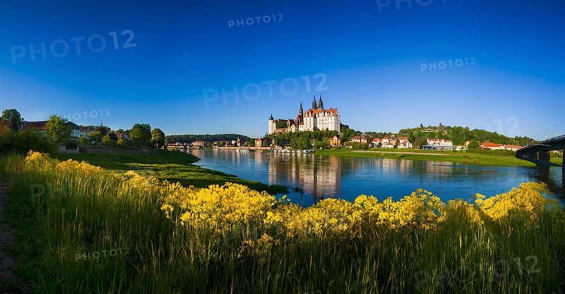 Meissen in the morning light