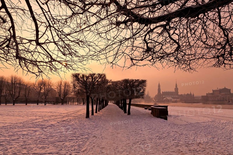 Dresden morning fog over the Elbe