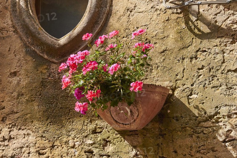 Ceramic flower pot, hanging on stone wall, Violet flowers, Montalbano Elicona, town, Nebrodi National Park, Sicily, Italy, Europe