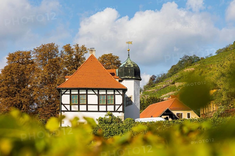 In electoral and royal Saxon times, the estate, as a country seat of the Saxon line of the Wettin dynasty, was the centre of Saxon court vineyard ownership for almost 500 years. Today it has been developed into the Saxon Wine Museum HoflöÃŸnitz with a sales outlet and the serving of its own wine