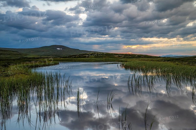 Lake in the landscape of the Hardangervidda plateau, Norway, Europe