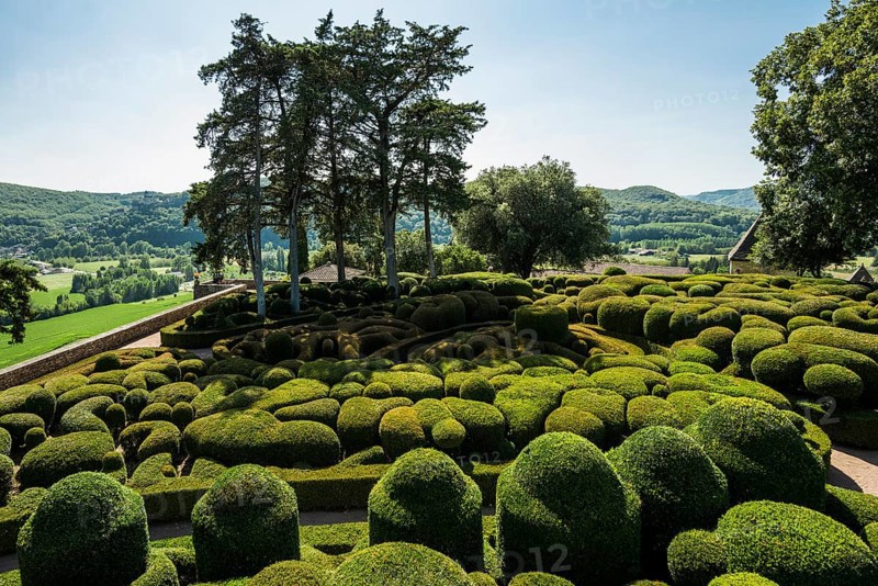 Boxwood garden, Les Jardins de Marqueyssac, Vezac, Dordogne, Périgord, Département Dordogne, Region Nouvelle-Aquitaine, France, Europe