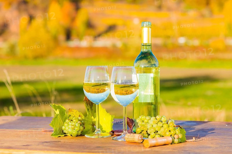The wine-growing region of Saxony is one of the smallest and the most easterly wine-growing region in Germany, defined in Â§ 3 para. 1 no. 12 of the Wine Act. It is located almost exclusively in the Dresden conurbation in the Elbe valley. Well-known wine towns are MeiÃŸen, which gives its name to the most important area, and Radebeul