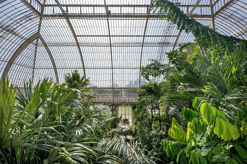 Palm House, the oldest Victorian greenhouse in the world, Royal Botanic Gardens, Kew, London, England, Great Britain