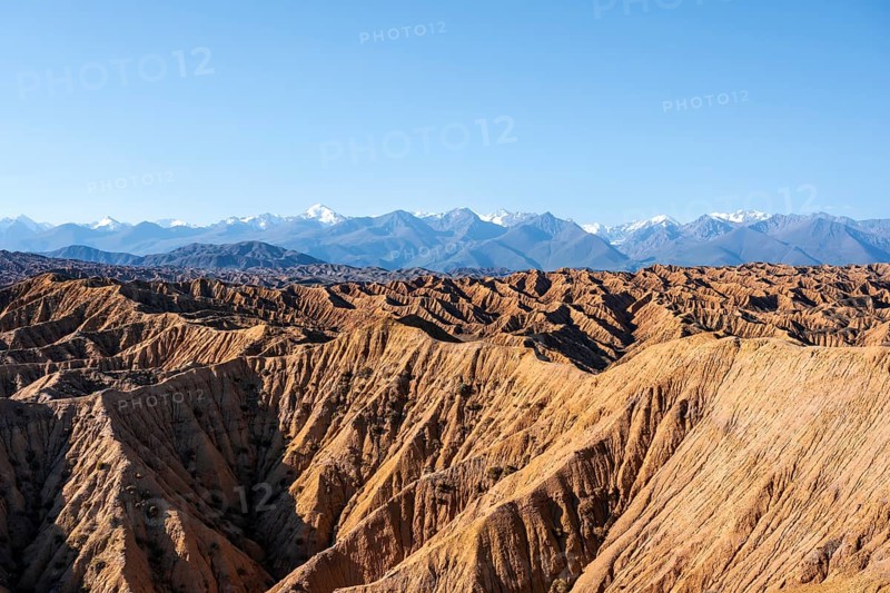Landscape of eroded hills, white peaks of the Tien Shan Mountains in the background, Badlands, Canyon of the Forgotten Rivers, Issyk Kul, Kyrgyzstan, Asia
