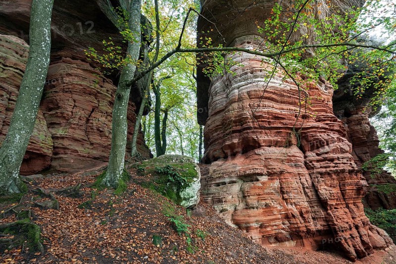 Old castle rock, red sandstone rock formation, natural and cultural monument, Brechenberg near Eppenbrunn, Palatinate Forest, Rhineland-Palatinate, Germany, Europe