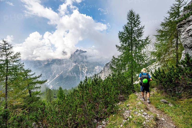 Mountaineer on a hiking trail between larches, descending via the Ofental valley, behind mountain peak of the horse-rider Alpe, mountain tour on the Hochkalter, Hochkalter crossing, Berchtesgaden Alps, Bavaria, Germany, Europe