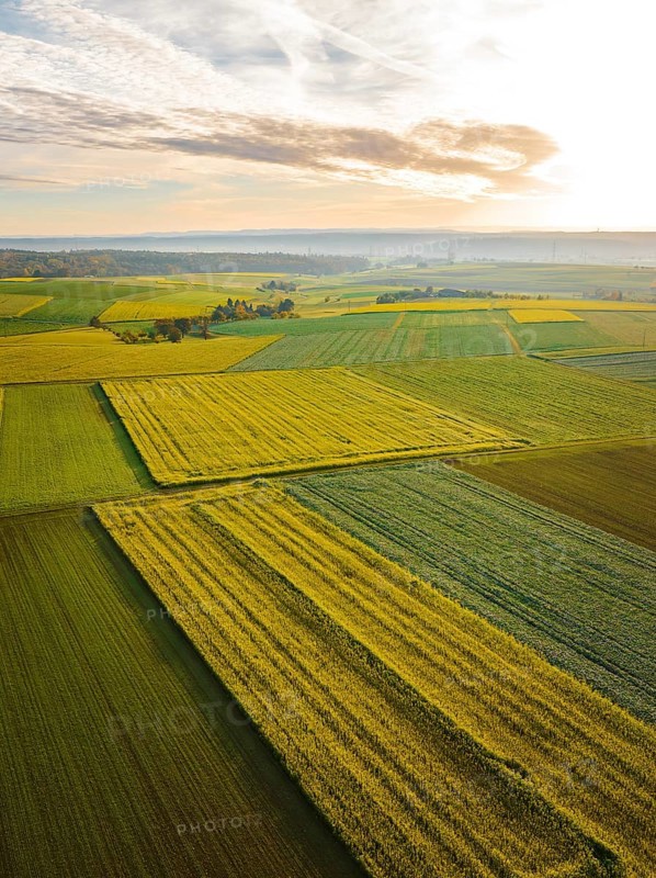 Aerial view of fields in autumn at sunrise, Herrenberg, Germany, Europe