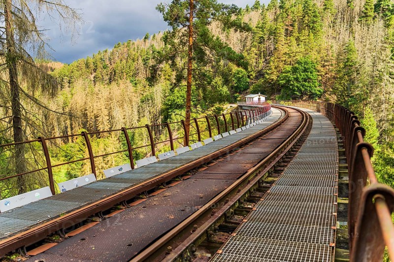 Railway bridge Ziemstal near Wysburg in the Thuringian Slate Mountains, Thuringia, Germany, Europe