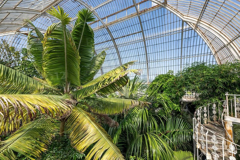 Palm House, oldest Victorian greenhouse in the world, Royal Botanic Gardens, Kew, London, England, Great Britain