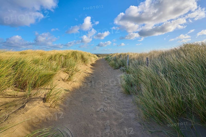 Beach access, sand dune, dune grass, wind, clouds, Zandvoort, North Sea, North Holland, Netherlands