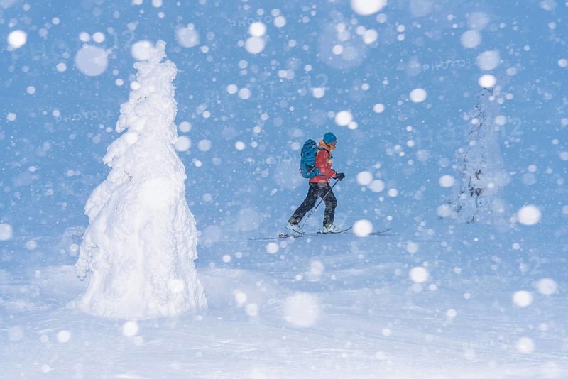 Skiers in the snow, Dundret Nature Reserve, Gällivare, Norrbotten, Lapland, Sweden, Sweden, Scandinavia, Europe