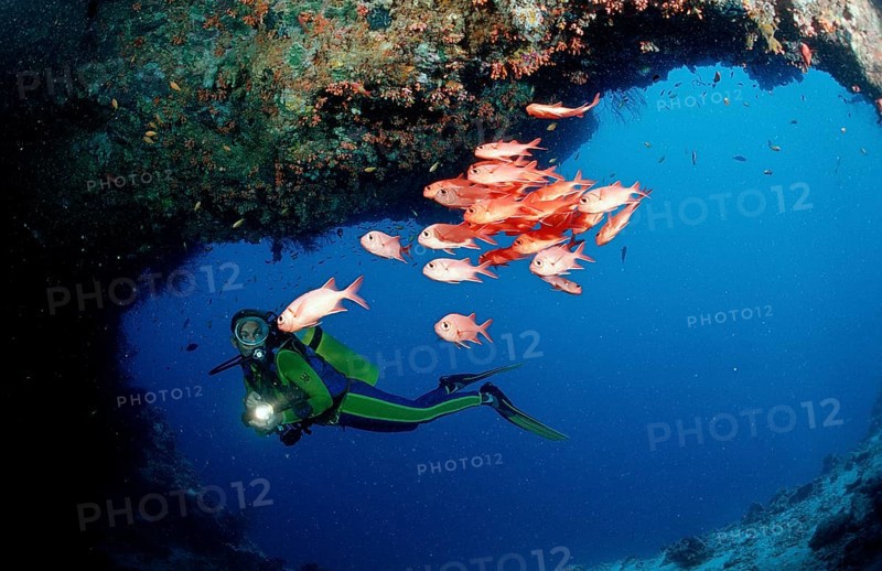 Scuba diver and white-fringed soldierfish, underwater cave, Myripristis murdjan, Maldives, Indian Ocean, Ari Atoll, Asia