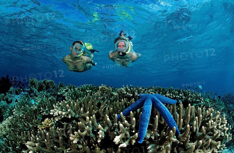 Two woman snorkelling, Bali, Indian Ocean, Indonesia, Asia