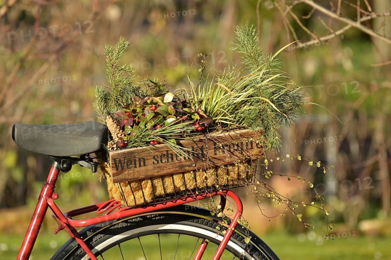 Wooden wine bottle crate filled with flowers stands on a bicycle carrier with the German inscription 'Wein schenkt Freude' (Wine gives joy)