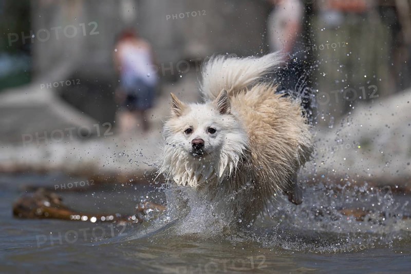 Water fun in Lake Constance