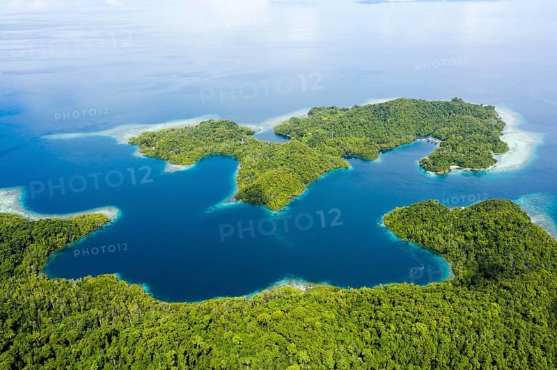 Aerial view of Janggelo Island, Raja Ampat, West Papua, Indonesia, Asia