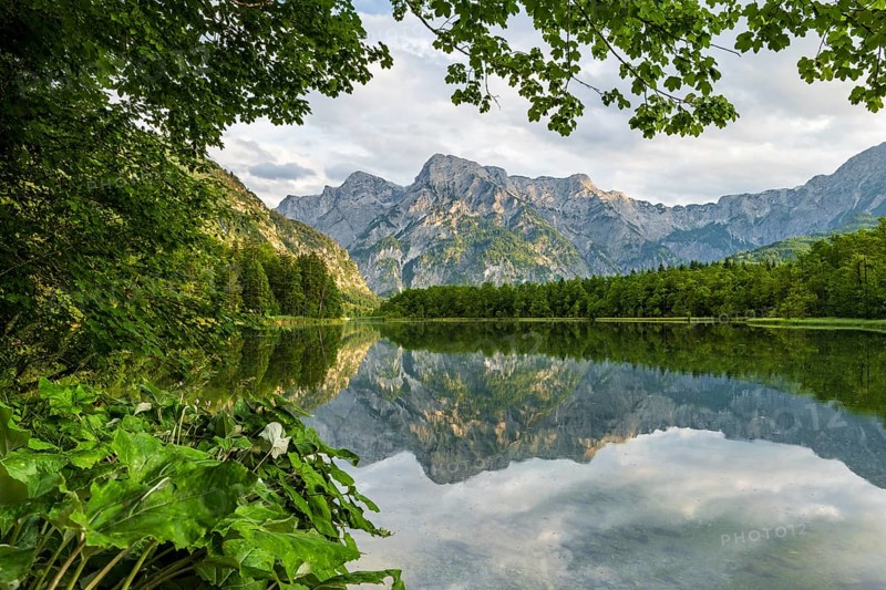 Almsee with reflection, Totes Gebirge, Grünau, Almtal, Salzkammergut, Upper Austria, Austria, Europe