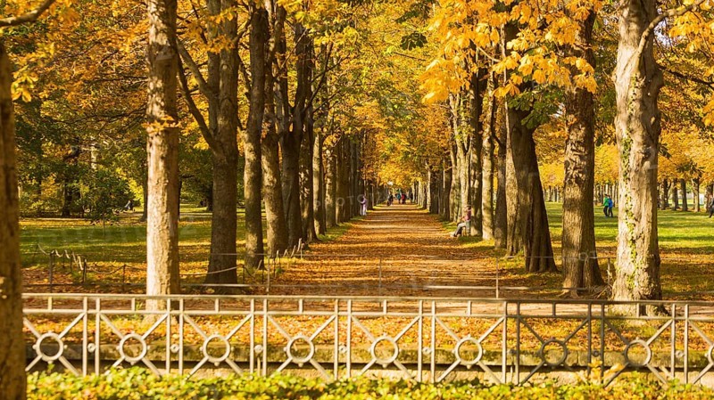 The former summer residence of the Saxon royal family is the largest chinoise palace complex in Europe. The palace park with more than 2, 000 shrubs and over 600 potted plants invites visitors to take eventful walks at any time of year