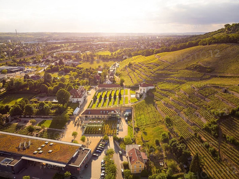 Wackerbarth Castle, originally Wackerbarths Ruh', is a Baroque castle surrounded by vineyards in the Radebeul district of Niederlössnitz on the road to Meissen, which serves as the seat of the Saxon State Winery. The winery belongs to the single vineyard Radebeuler Johannisberg within the large vineyard Lössnitz and is located in the listed historical vineyard landscape Radebeul