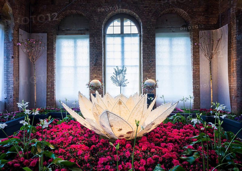 Dresden Spring at the Palais 2016