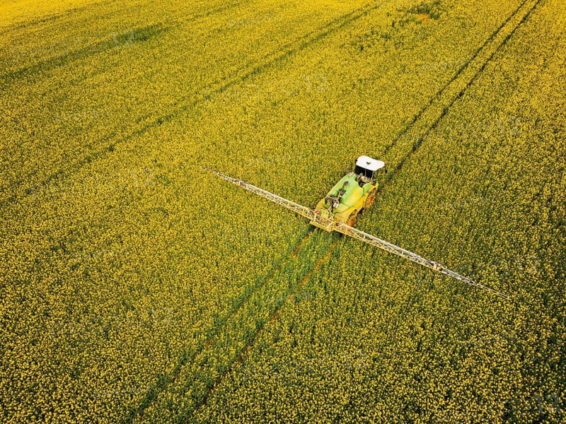 Crop protection products are applied to a rapeseed field on the outskirts of Dresden