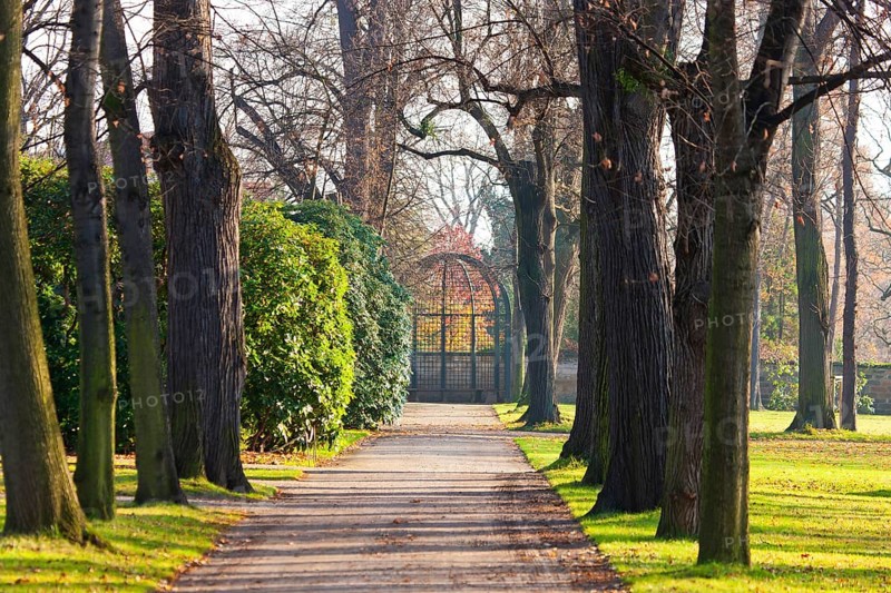 Pillnitz Palace Park Meadows at the Bergpalais