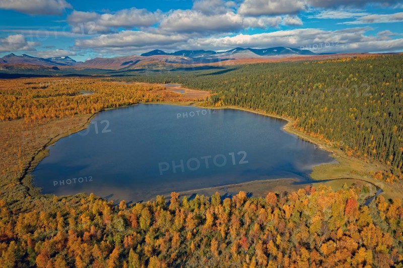 Drone shot, view of the Änok marshland with lake, birch forests, deep colouring, autumn, intense colouring, Sarek mountains in the background, Kvikkjokk, Jokkmokk, Norrbottens län, Lapland, Northern Sweden, Sweden, Europe