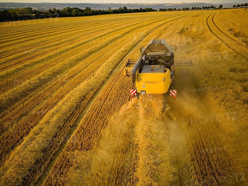 Grain harvest in a field near Babisnau on the outskirts of Dresden