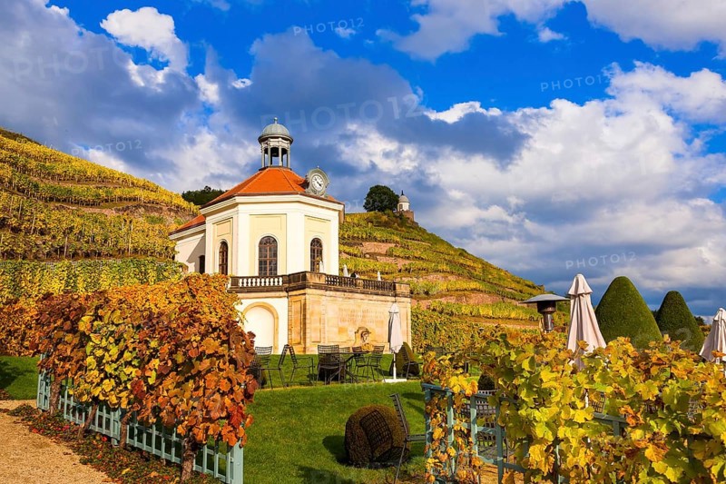 Wackerbarth Castle or Wackerbarths Ruh is a Baroque castle surrounded by vineyards in the Niederlössnitz district of Radebeul on the road to Meissen, which serves as the seat of the Saxon State Winery. The winery belongs to the Lössnitz vineyard and is located in the Radebeuler Johannisberg vineyard