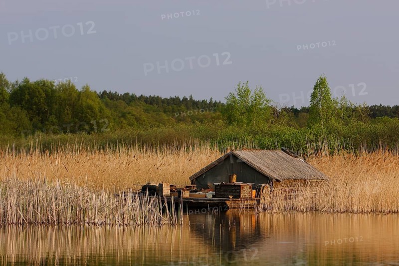 Self-built raft in the reeds, alternative lifestyle, hippie, Müritz National Park, Mecklenburg-Western Pomerania, Germany, Europe