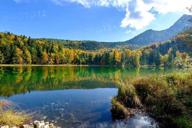 Frillensee near Inzell, Chiemgau, Upper Bavaria, Bavaria, Germany, Europe