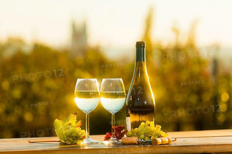 The wine-growing region of Saxony is one of the smallest and the most easterly wine-growing region in Germany, defined in Â§ 3 para. 1 no. 12 of the Wine Act. It is located almost exclusively in the Dresden conurbation in the Elbe valley. Well-known wine towns are Meissen, which gives its name to the most important area, and Radebeul