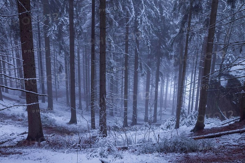 Winter weather on the Gohrisch (447) (8 metres) The Gohrisch is a table mountain in the left-elbe Saxon Switzerland