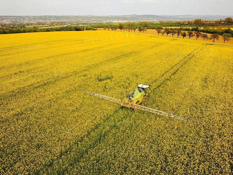 Crop protection products are applied to a rapeseed field on the outskirts of Dresden