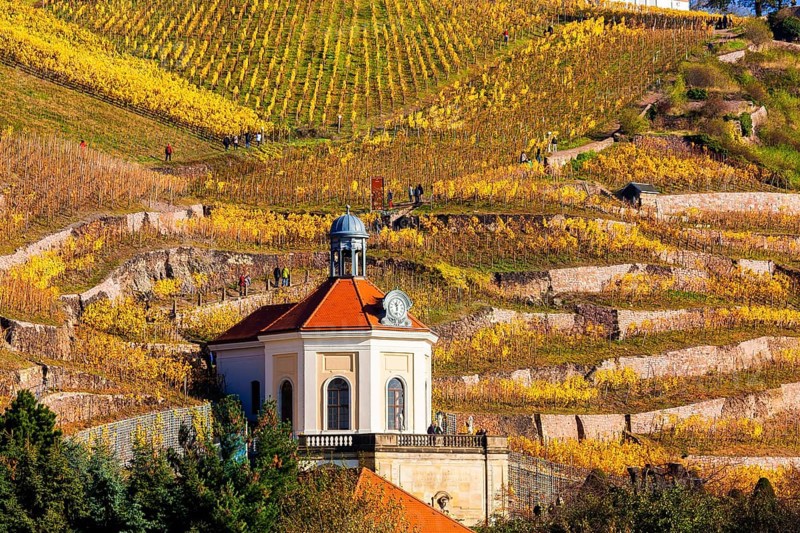 Wackerbarth Castle or Wackerbarths Ruh is a Baroque castle surrounded by vineyards in the Niederlössnitz district of Radebeul on the road to Meissen, which serves as the seat of the Saxon State Winery. The winery belongs to the Lössnitz vineyard and is located in the Radebeuler Johannisberg vineyard
