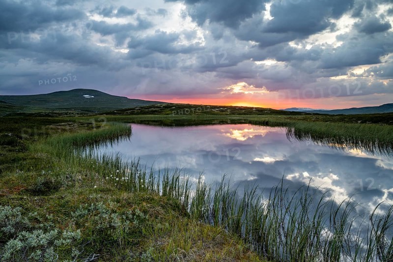 Lake in the landscape of the Hardangervidda plateau, Norway, Europe
