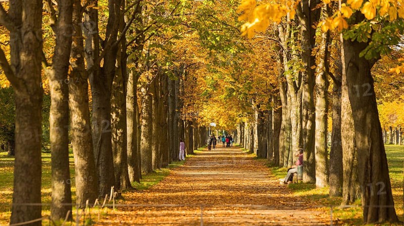 The former summer residence of the Saxon royal family is the largest chinoise palace complex in Europe. The palace park with more than 2, 000 shrubs and over 600 potted plants invites visitors to take eventful walks at any time of year