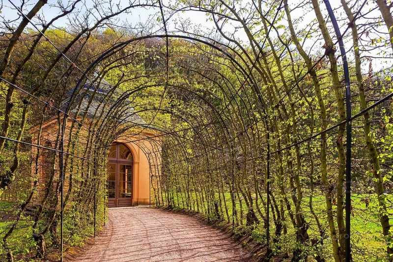 Weesenstein Castle Park