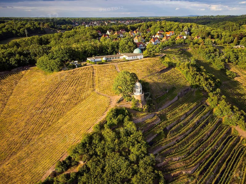 Wackerbarth Castle, originally Wackerbarths Ruh', is a Baroque castle surrounded by vineyards in the Radebeul district of Niederlössnitz on the road to Meissen, which serves as the seat of the Saxon State Winery. The winery belongs to the single vineyard Radebeuler Johannisberg within the large vineyard Lössnitz and is located in the listed historical vineyard landscape Radebeul