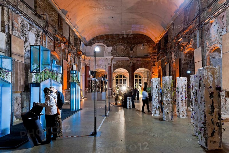 Palais im Grossen Garten Exhibition Floral Masterpieces