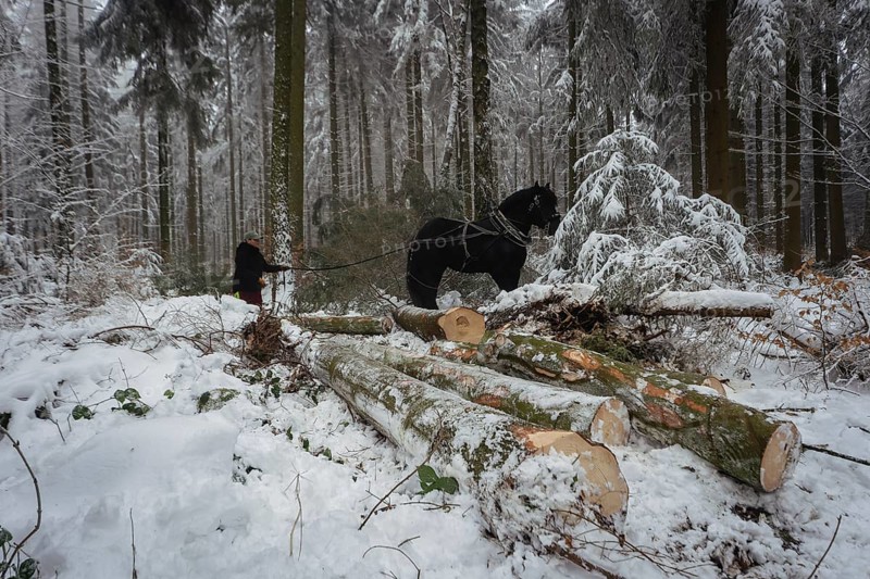 Winter in the Ore Mountains