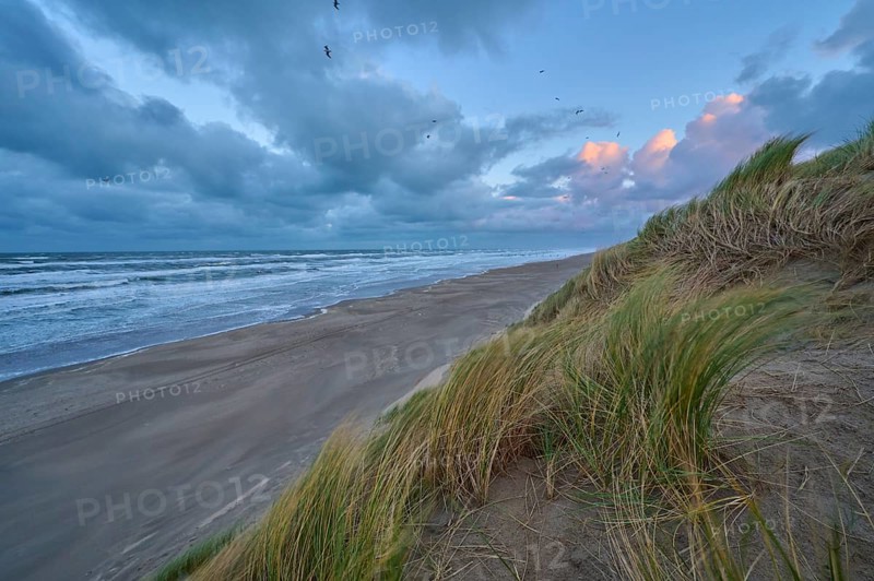 Sand dune, Sea, Marram Grass, Wind, Clouds, Zandvoort, North Sea, North Holland, Netherlands