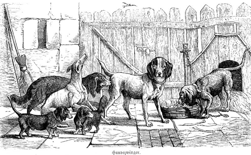Dog kennel, different dog breeds, bowl, dog house, broom, wooden fence, Hubertus hunt, hunting scene, Germany, historical illustration around 1860, Europe