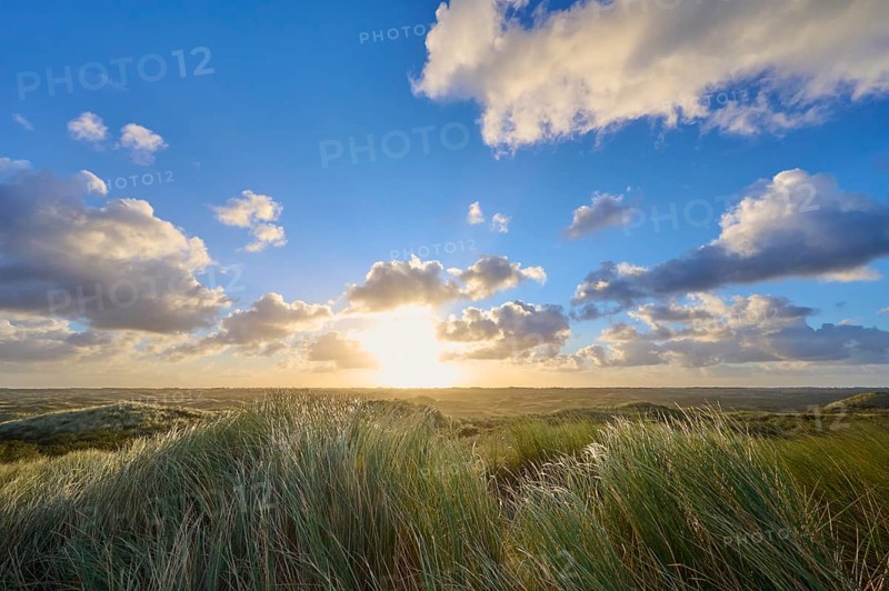 Sand dune, dune grass, wind, sunrise, clouds, Amsterdam water line dunes, Zandvoort, North Sea, North Holland, Netherlands