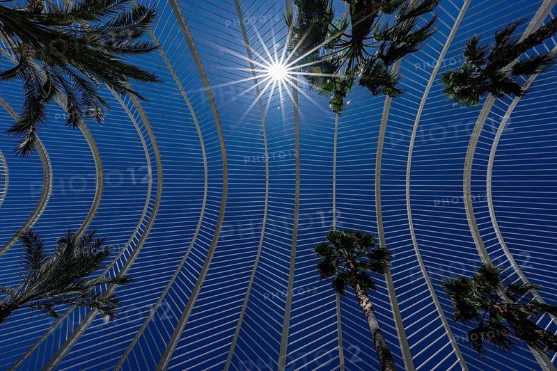 Umbracle, Palm House, Cuitat de les Arts i les Ciences, modern architecture, Valencia, Spain, Europe