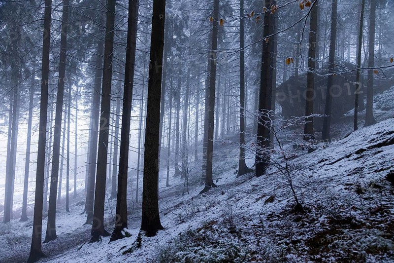 Winter weather on the Gohrisch (447) (8 metres) The Gohrisch is a table mountain in the left-elbe Saxon Switzerland