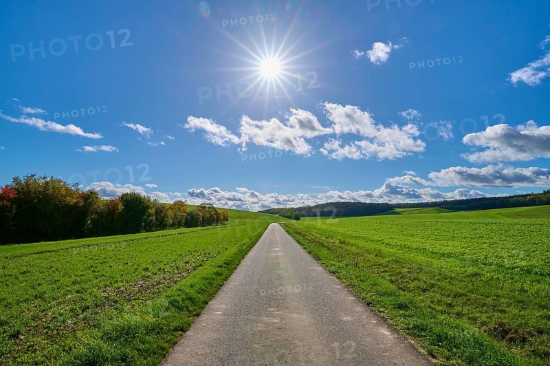 Road, field landscape, grain field, forest, sky, sun, clouds, Duttenbrunn, Zellingen, Würzburg, Franconia, Bavaria, Germany, Europe